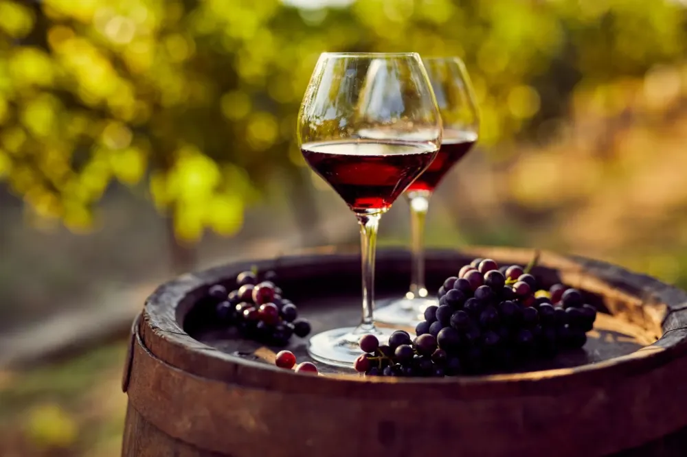 vin bio à Beaumont-en-Véron
