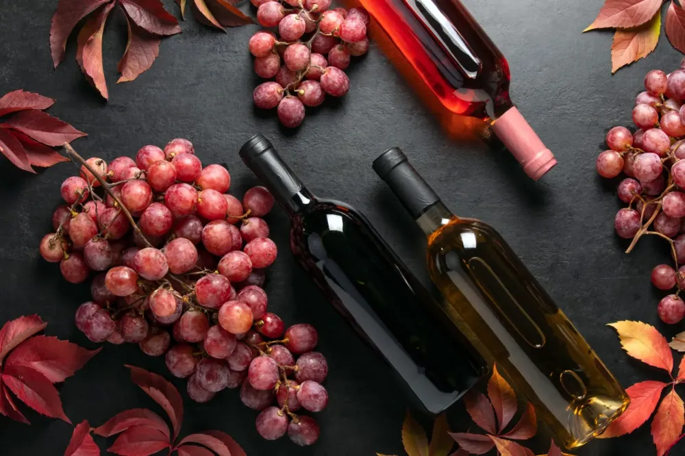 producteur de vin à Beaumont-en-Véron